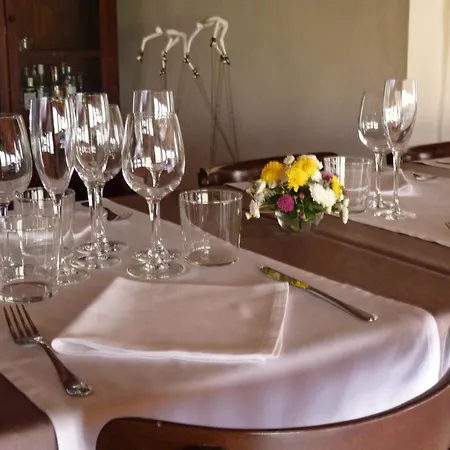 Hotel Cal Maginet 3*