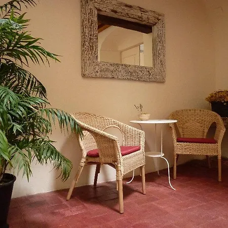Hotel Cal Maginet 3*
